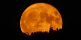 Diese Astronomie-Spektakel sind am Dezember-Nachthimmel zu sehen