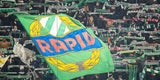 Rapid Fans