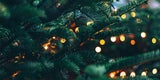 weihnachtsmarkt