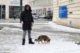Klirrende Kälte - Glatteis in ganz Wien. 