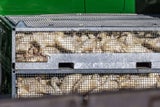 Vogelgrippe