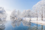 Bauernregel im Jänner: Warum Sonnenschein ein gutes Zeichen ist