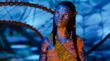 Kein blaues Wunder? „Avatar“ lässt Hollywood zittern