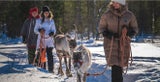 Entspannend. Wandern mit Rentieren  durch die verschneite Landschaft Lapplands.