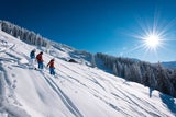 Freeriden in Ski amadé steht für pures Freiheitsgefühl abseits präparierter Pisten.
