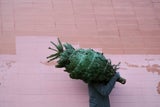 Günstig durch die Adventzeit: 7 Spartipps für Weihnachten