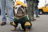 Green Bay Packers Fans