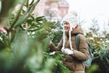 Preis-Check 2025: So viel kosten Christbäume