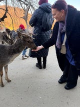 Hirschfarm in Jelenov-Greben im kleinen Dorf Olimje. Redakteurin Ute Hübler mit den zutraulichen Hirschen.