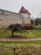 Die Stadt
