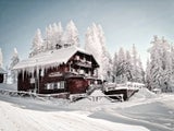 800 Euro Eintritt! Neue Luxus-Party beim Hahnenkammrennen in Kitzbühel