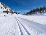 Die schönsten Loipen in Österreich zum Langlaufen