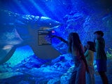 Immersive Dino-Schau kehrt für vier Wochen nach Wien zurück