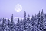 Vollmond 1. Februar 2026
