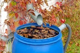 Last-Minute-Tipps: So übersteht Ihr Garten den Winter ohne Schäden