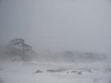 Nebel Wind Dezember