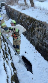 Die alarmierten Feuerwehrleute retteten den Vierbeiner.