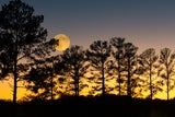 Vollmond 5. November