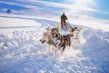 Bye Skiurlaub! Diese Reiseziele bieten geheime Winter-Abenteuer