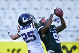 Vikings Football