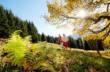 Fit durch die Erkältungssaison: Diese Sportarten stärken Ihr Immunsystem