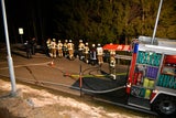 Pyros Wald Tirol