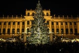 Ein Blickfang: Weihnachtsbaum vor Schloss Schönbrunn.
