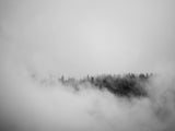 Nebel Wind Dezember