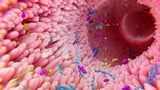 Entgiften?! Ich habe mein Darmmikrobiom testen lassen - das kam dabei raus