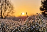 Bauernregel im Jänner: Warum Sonnenschein ein gutes Zeichen ist