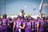 Vienna Vikings Danube Dragons