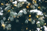 Laut Bauernregel: Das bedeuten weiße Weihnachten für das kommende Jahr
