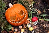 Halloween ist vorbei: Was tun mit den geschnitzten Kürbissen?