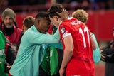 Arnautovic Gregoritsch