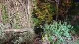 Pkw mit schlafender Frau rollte in Fluss