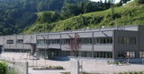 Steyr Arms Werk