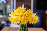 Geheime Liebesbotschaften: Die Bedeutung hinter Valentinstagsblumen