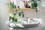 Muff-Alarm: So werden Sie schlechte Gerüche im Badezimmer los