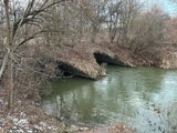 eichenteile marchfeldkanal