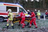Unfall mit Reh