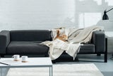 Warum Katzen an Möbeln kratzen - und was dagegen hilft
