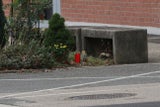 Bub aus Fenster gestürzt
