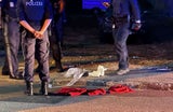 Messerattacke in Wilhelmsburg (NÖ): Zwei Menschen verletzt