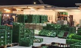 grossgrünmarkt