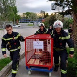 Die Freiwillige Feuerwehr Brunn am Gebirge sicherte den Biber.