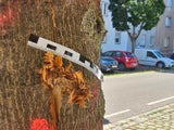 Schüsse bei Bandenkrieg in Wien