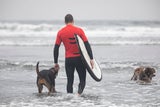 Fellnasen auf der Welle: Vierbeiner zeigen Talent bei Hundesurf-EM