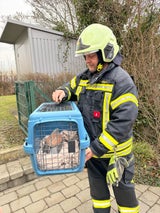 Turmfalken befreit