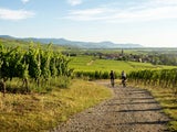 Radvergnügen: Die besten Fahrradtouren in Österreich