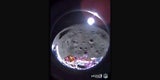 Lander "Odysseus"